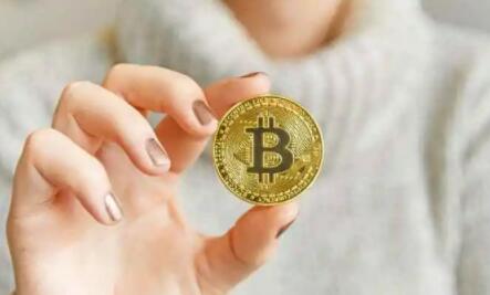 WBF交易所成立时间,wbf是什么交易所